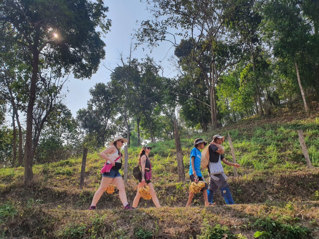Visitors walking with elephants through the forest during a full-day sanctuary experience in Chiang Mai