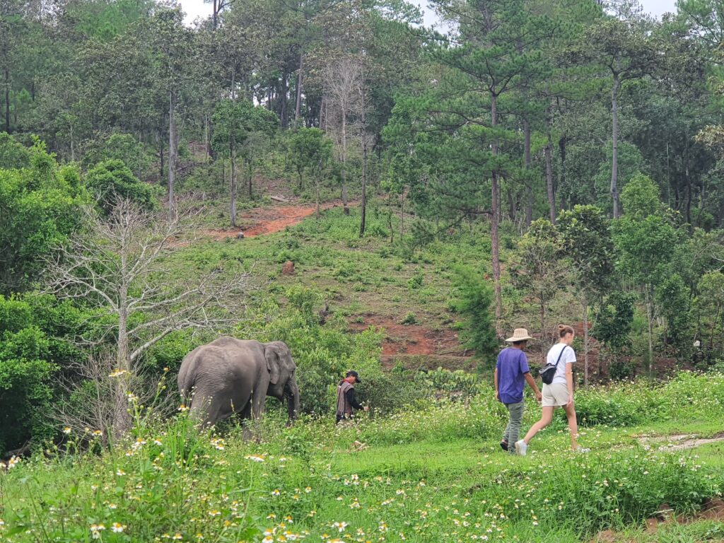 walk with friends in elephant sanctuary Chiang Mai