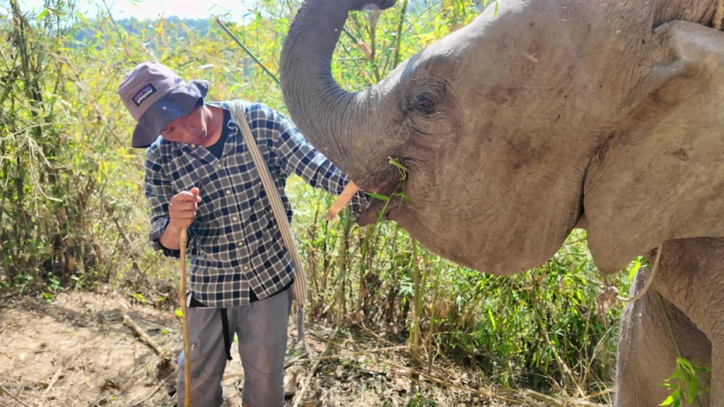 "Jack at elephant sanctuary Chiang Mai"