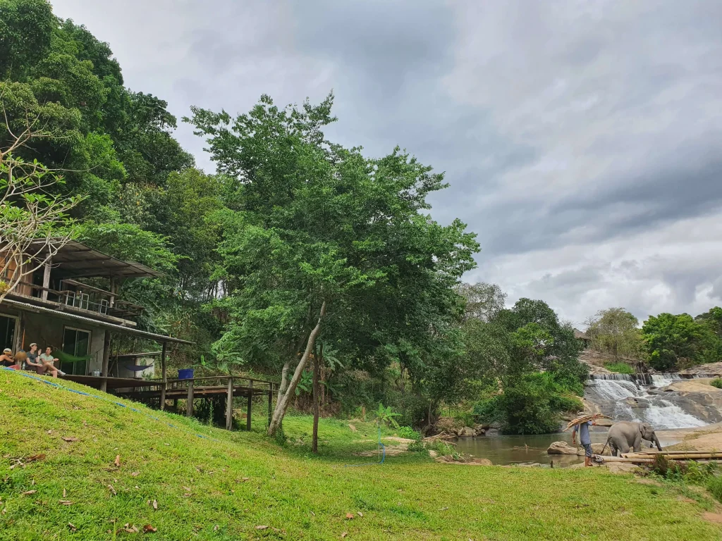home stay at elephant sanctuary chiang mai
