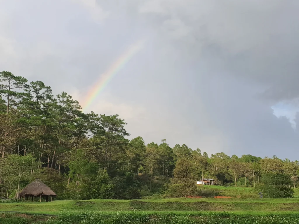 rainbow in chiang mai elephant sanctuary