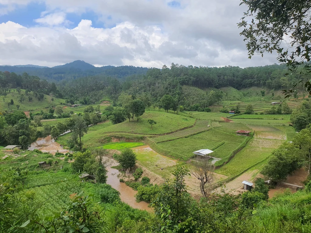 summer time at chiang mai elephant sanctuary
