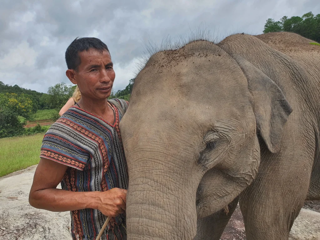 Mahout and young elephant