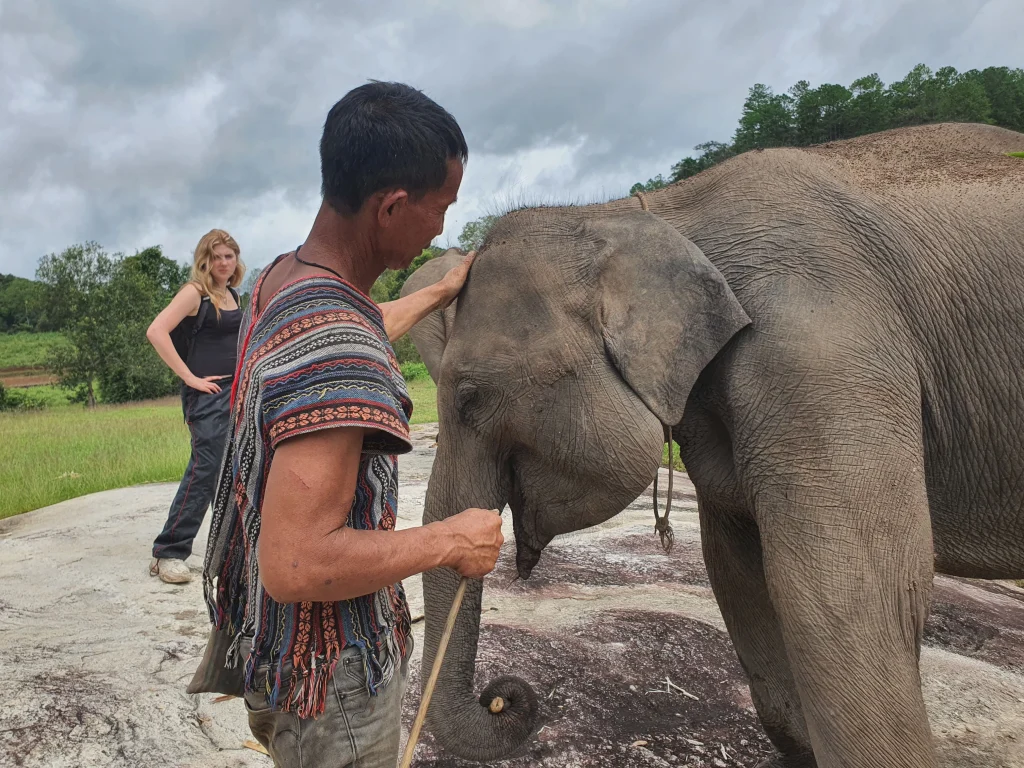 A local mahout lovingly touching an elephant, showing their deep bond at Le Cher Elephant Home in Chiang Mai.
