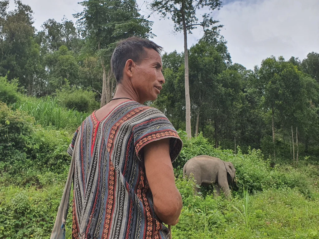 A local mahout gently walking with an elephant at Le Cher Elephant Home, an ethical elephant sanctuary in Chiang Mai.