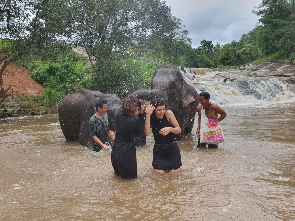 Elephants bathing in a river at an ethical elephant sanctuary in Chiang Mai