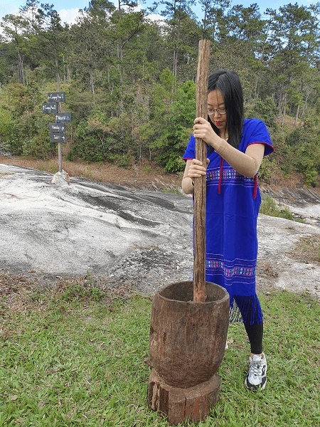 Making traditional herbal medicine for elephants