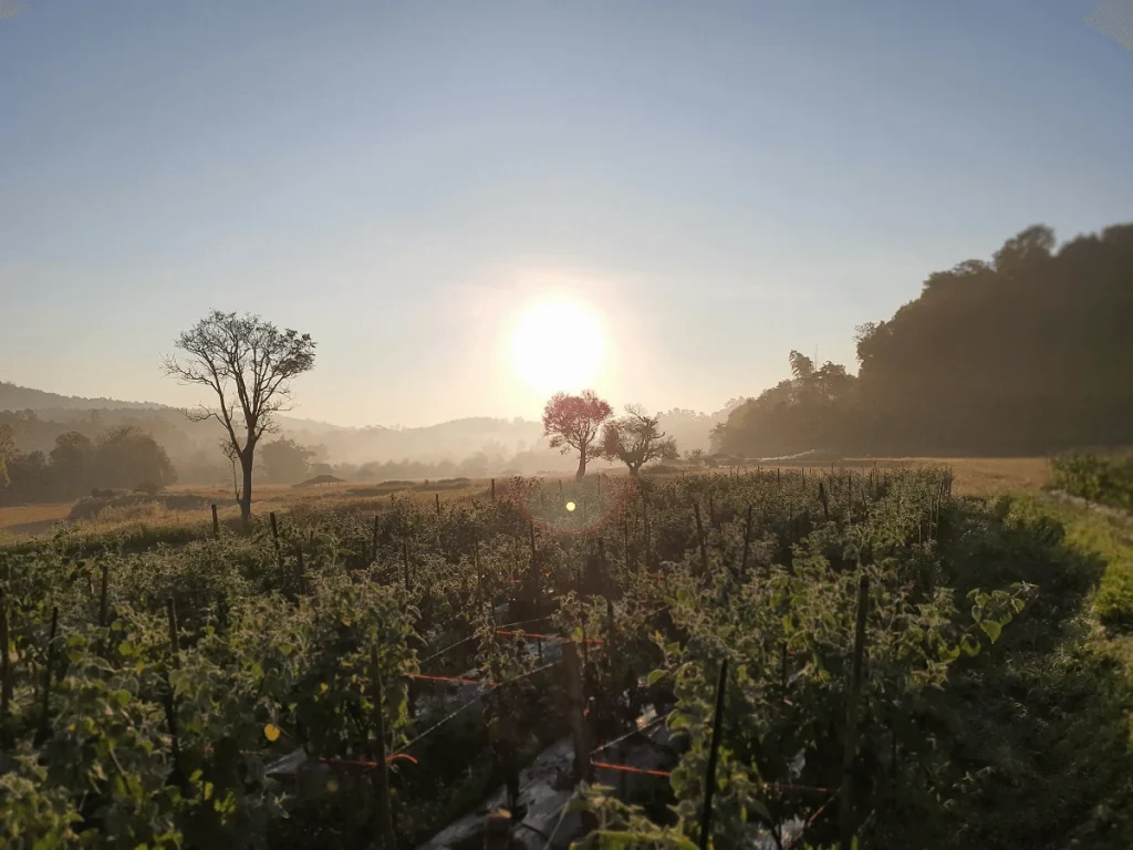 Scenic view of Le Cher Elephant Home surrounded by local community and nature