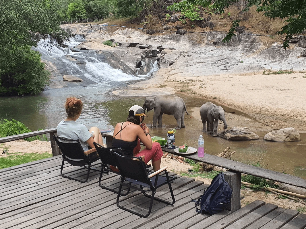 "peaceful eco-stay at Le Cher Elephant Home ethical sanctuary Chiang Mai"