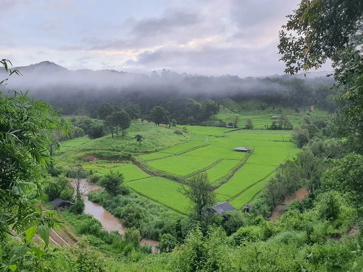 "Beautiful natural elephant sanctuary chiang mai landscape at Le Cher Elephant Home"