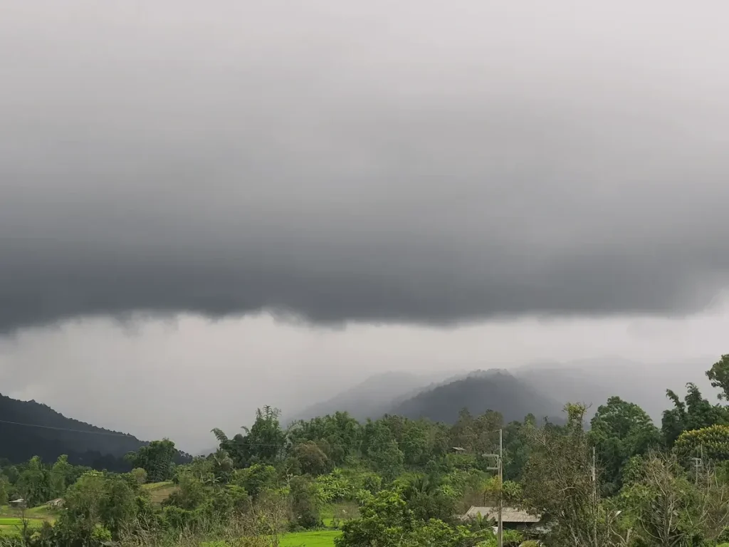 "Rainy season scene at ethical elephant sanctuary Chiang Mai with vibrant greenery and misty forest surroundings."