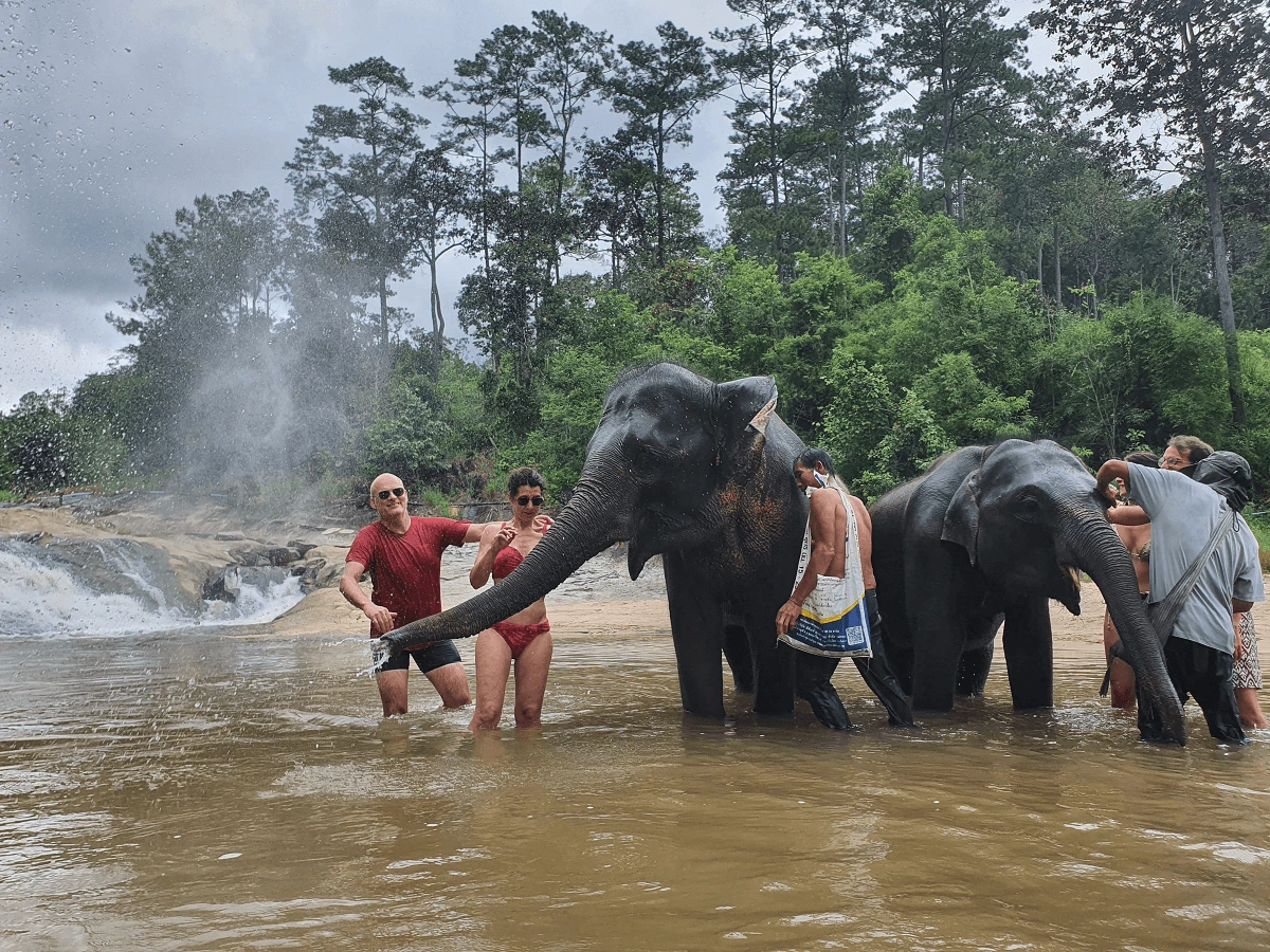 "Family enjoying the Half Day Ethical Elephant Sanctuary Chiang Mai Program for Families while bathing elephants in a natural stream"