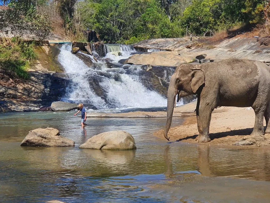 child interacting with elephant in Chiang Mai